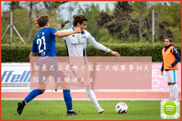 坦桑尼亚是哪个国家 足球赛事相关信息引发球迷关注