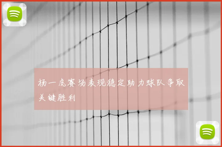 杨一虎赛场表现稳定助力球队争取关键胜利
