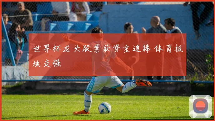 世界杯龙头股票获资金追捧 体育板块走强