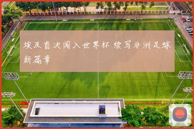 埃及首次闯入世界杯 续写非洲足球新篇章