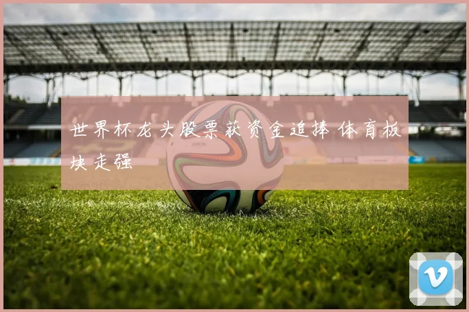 世界杯龙头股票获资金追捧 体育板块走强