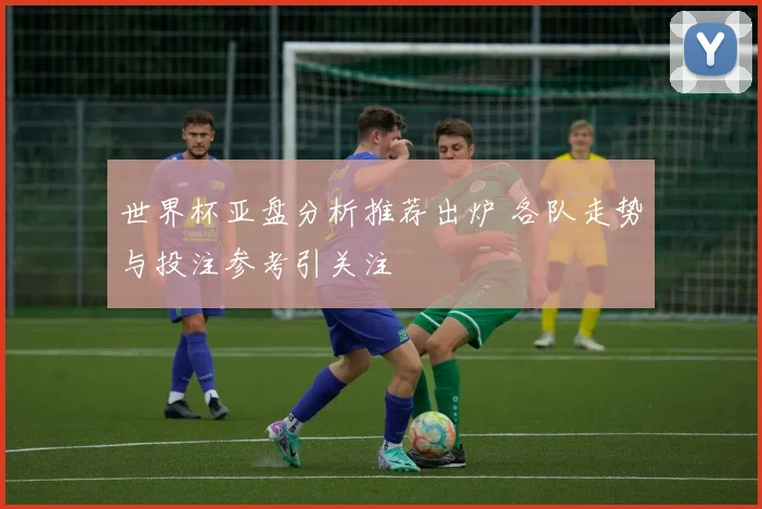 世界杯亚盘分析推荐出炉 各队走势与投注参考引关注