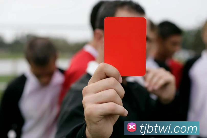 球赛押注app官网服务体系